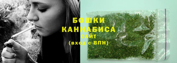 мдпв Елабуга