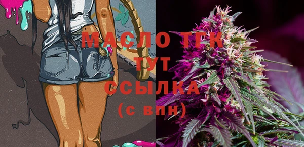 мет Ельня