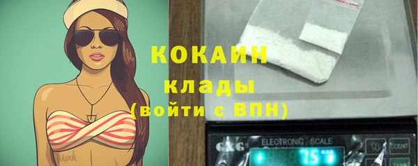 твердый Елизово