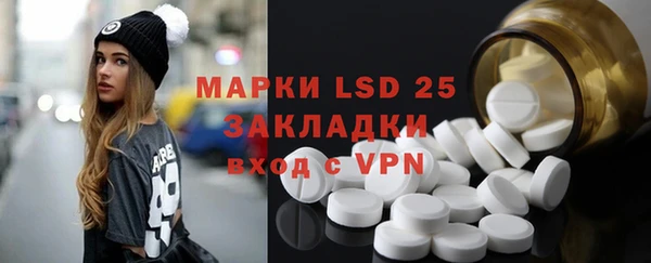 мдпв Елабуга