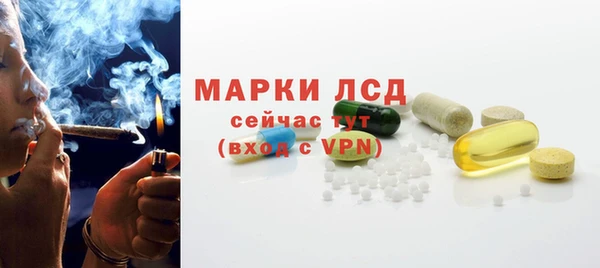 мет Ельня