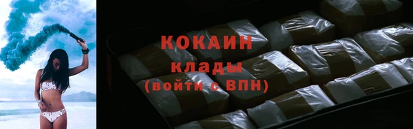 мдпв Кострома