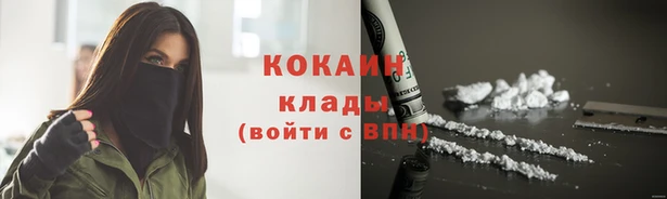мдпв Елабуга