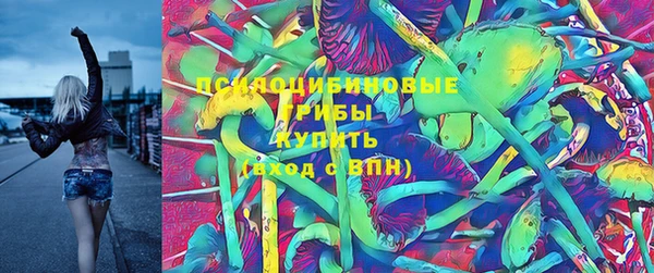 мдпв Елабуга