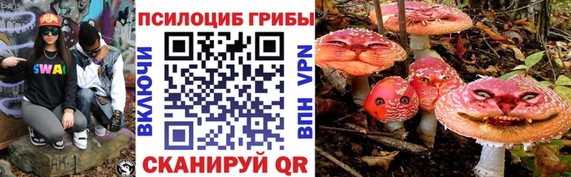 Купить  Новоалександровск  Галлюциногенные грибы мицелий 